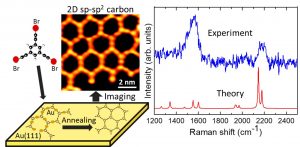 New Results: 2D carbon network featuring appealing properties