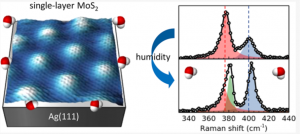 Just Accepted paper: investigating the hydrophilic chararcter of single layer MoS2 grown on metal substrates