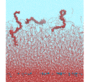 EspLORE @ Molecular Simulation and Engineering workshop in Milan